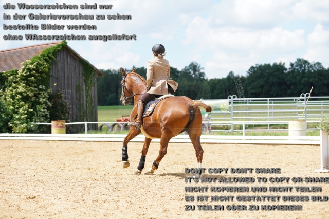 s_K3F06547.JPG